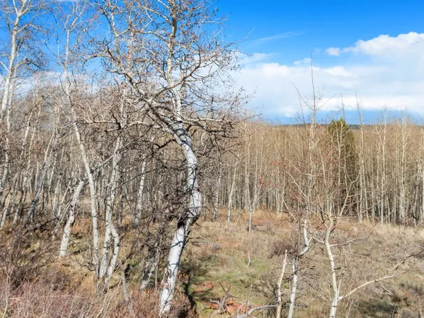 198 Lumber Jack Rd, Fairplay, CO 80440