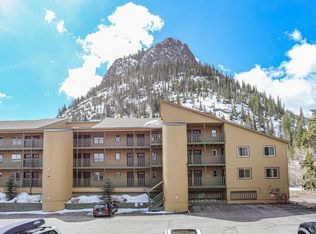 400 W Main St UNIT 206, Frisco, CO 80443