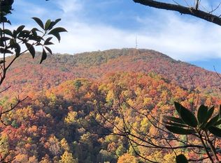 115 Davey Crockett Rd, Fairview, NC 28730