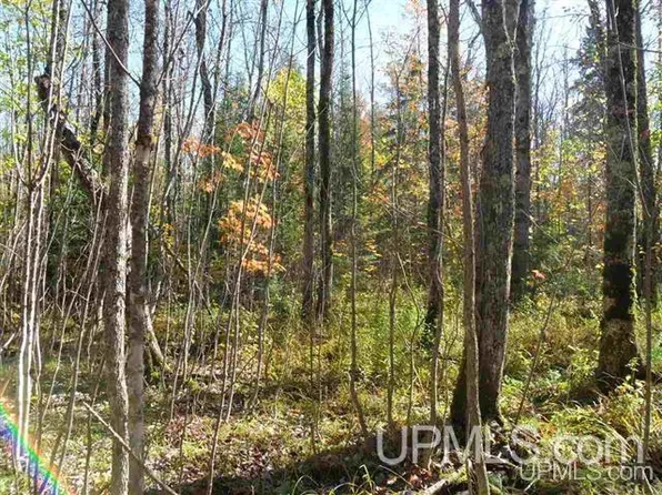 Karschney Rd, Lanse, MI 49946