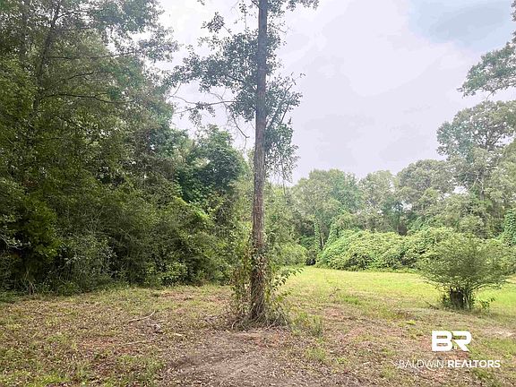 4th image of 4599 Brushy Creek Rd