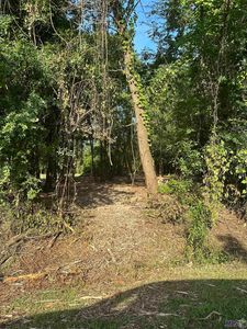 Elmwood Pl, Denham Springs, LA, 70726