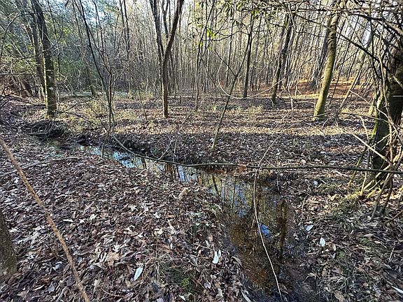 Photo Jan 16 2026 8 39 51 Am