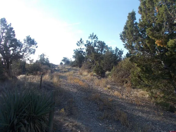 27392 Road P.2, Dolores, CO 81323