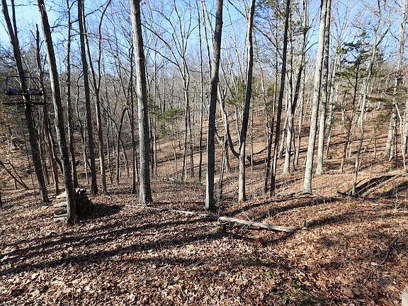 One of the hardwood draws with lots of oaks