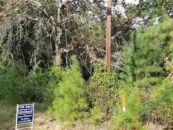 3rd image of 13217 County Road 1125