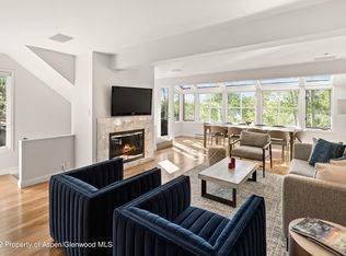 100 N 8th St UNIT 23, Aspen, CO 81611