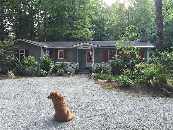 Dog not included ;)