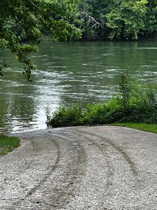 10 River Brook Trl, Burkesville, KY, 42717