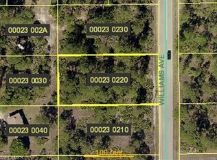 919 Williams Ave, Lehigh Acres, FL 33972