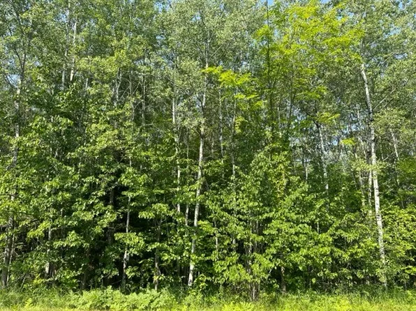 7189 N County Highway W, Winter, WI 54896