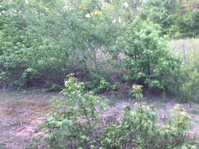 2nd image of 34 Walt Rd