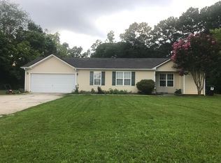 11323 Panhandle Rd, Hampton, GA 30228