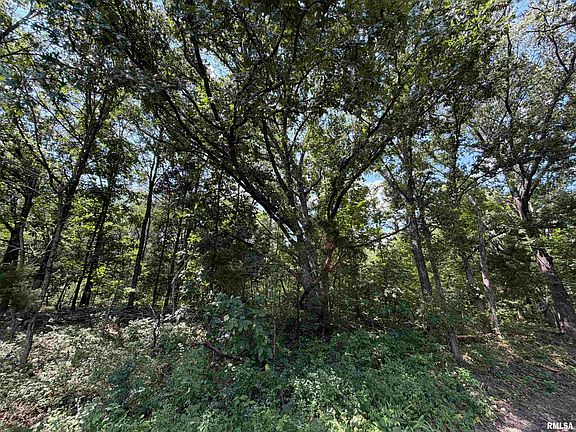 4th image of County Road 0 Rd E