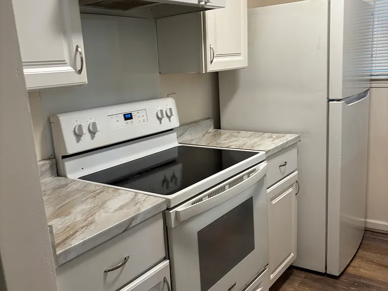 112 Springwoods Lake Point #A — Photo 3