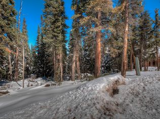 404 Camron Ln, Breckenridge, CO 80424
