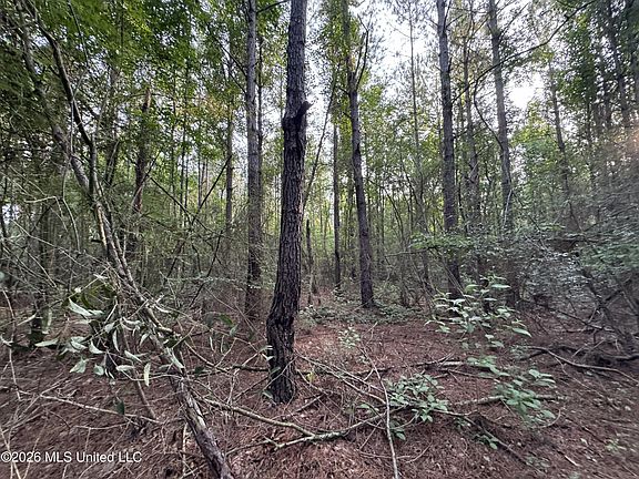 5th image of N Lot 2 River Rd Lot 2