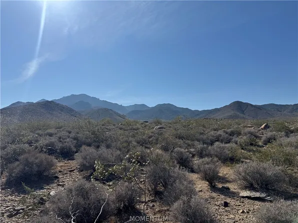 316-05-010 June #9, Dolan Springs, AZ 86441