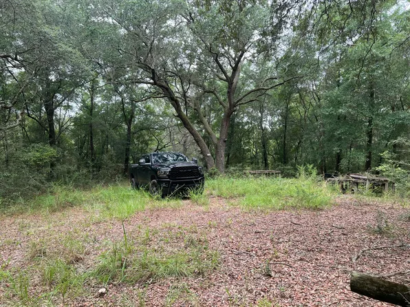 Lonesome Pine St, Holt, FL 32564