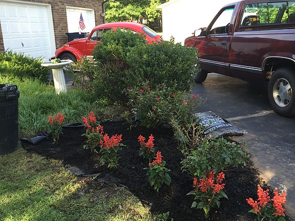 New landscaping