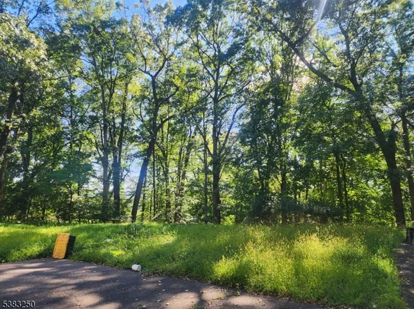1175 Evergreen Dr, Bridgewater Twp., NJ 08807