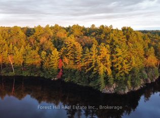 0 Clear Lake Rd, Muskoka Lakes, ON P0C1M0