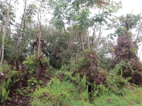 26th Ave Lot 21, Keaau, HI 96749