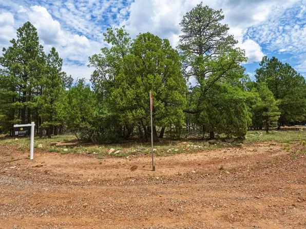5969 Redtail Ln, Happy Jack, AZ 86024