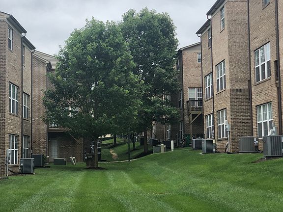 Backyard/Common Area 