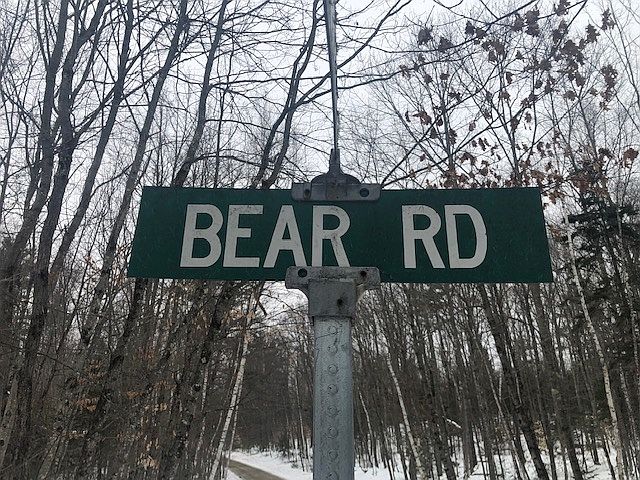 2nd image of Bear Road #117