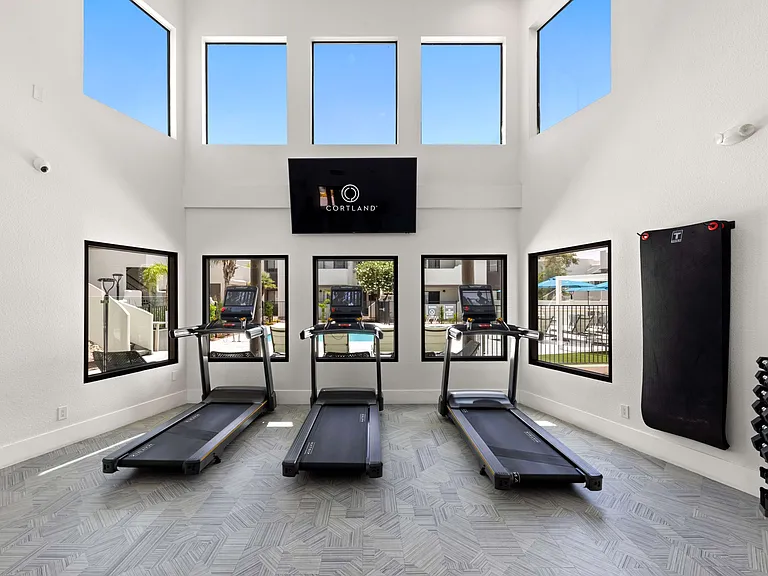 Cortland Scottsdale Mountain — Photo 12