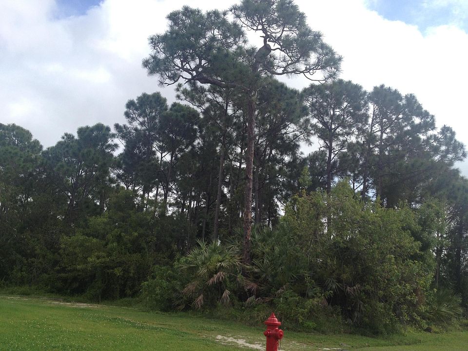 1st image of 631 SE Capon