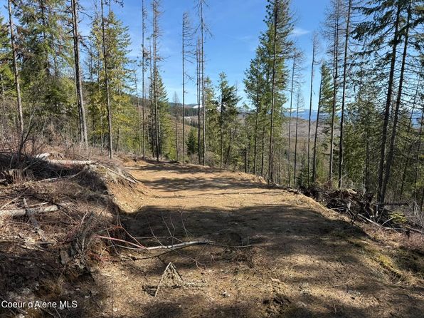 721 Upriver View Dr, Fernwood, ID 83830
