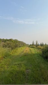 Tbd160 Sunflower Rd, Kelliher, MN, 56650