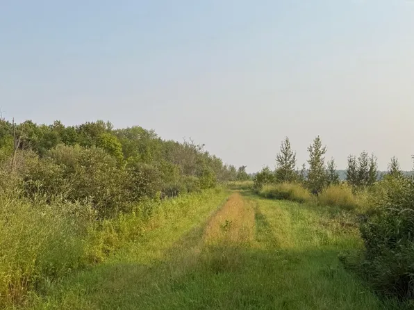 Tbd160 Sunflower Rd, Kelliher, MN 56650