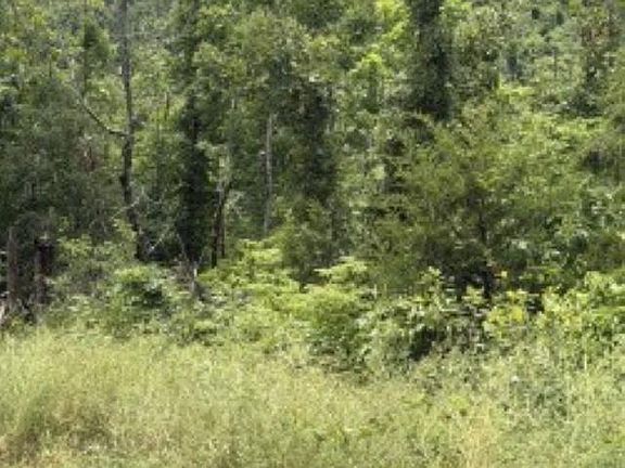 2nd image of 7 County Road 868