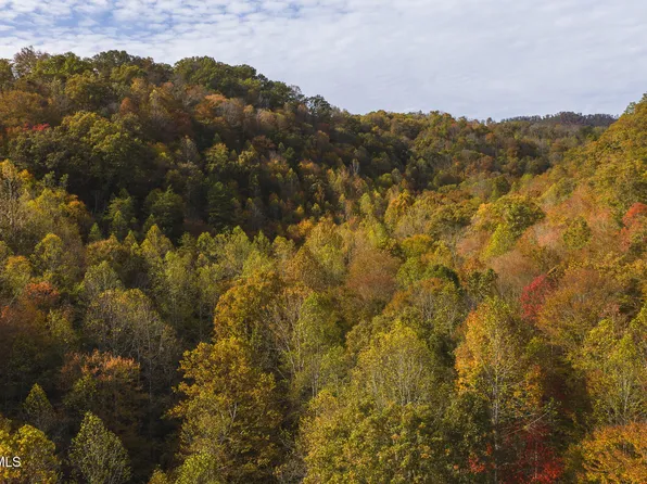 Lynn Flanary Rd, Blackwater, VA 24221