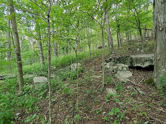 5th image of Cumberland Ct