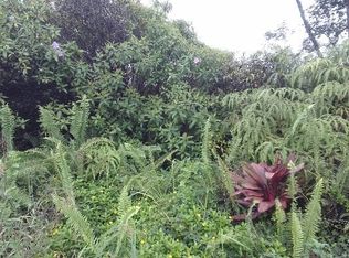 11th Ave LOT 1540, Keaau, HI 96749