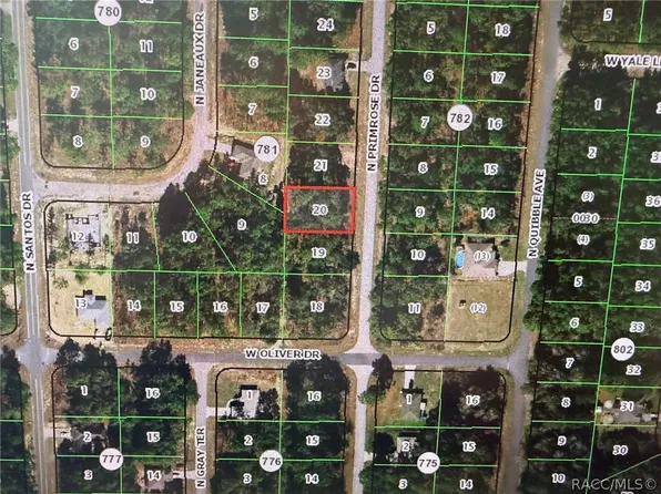 7710 N Primrose Dr, Citrus Springs, FL 34434