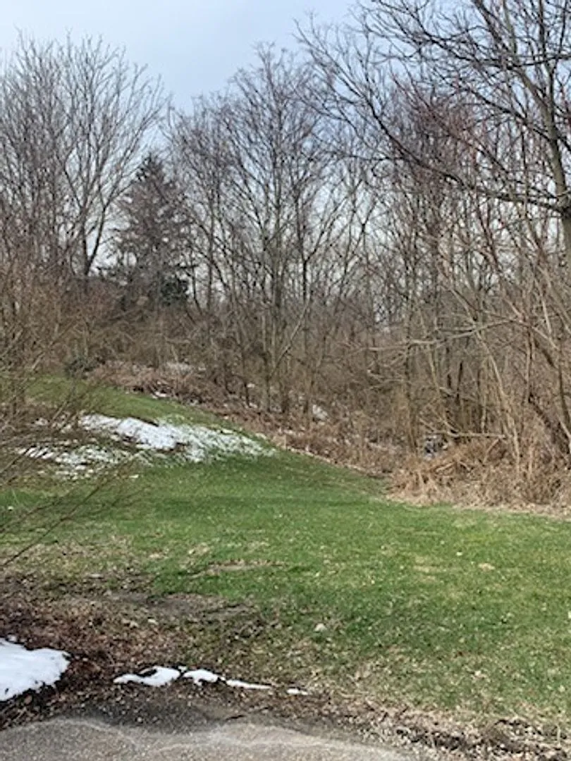 Sil1-8434 Silver Lake Road — Photo 3