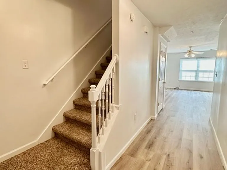 209 Swaying Pine Ct — Photo 3