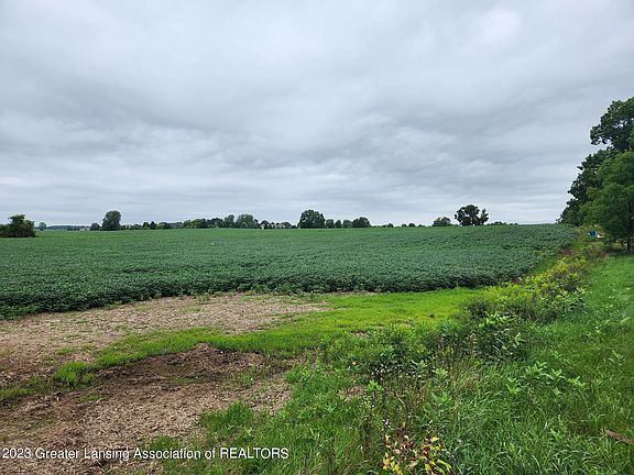 3rd image of E Saginaw Hwy