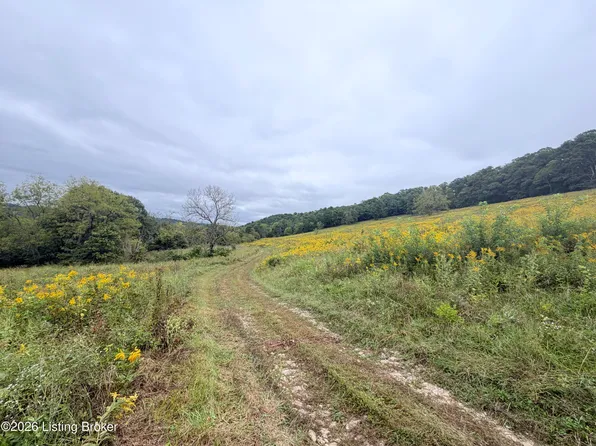 0 Highway 355, Worthville, KY 41098