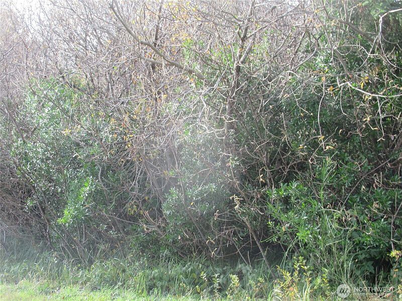2nd image of 0 Driftwood Dr Drive