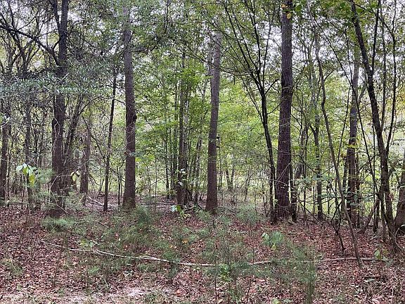 4th image of 3497 Rutledge Loop Rd