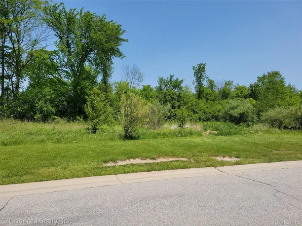 0 9th St, Smiths Creek, MI 48074