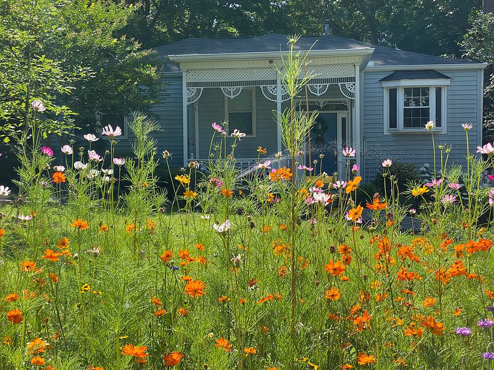 Perennial wildflower garden/curb view of house