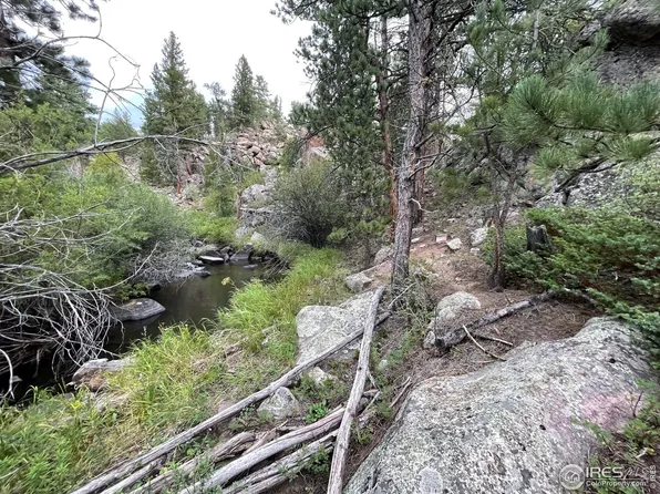 250 Parvin Ct, Red Feather Lakes, CO 80545