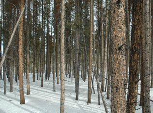 180 Moose Trl, Winter Park, CO 80482
